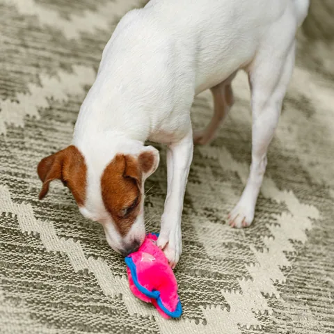 Outward Hound Durablez 小豬造型耐咬玩偶（粉／XS） 5