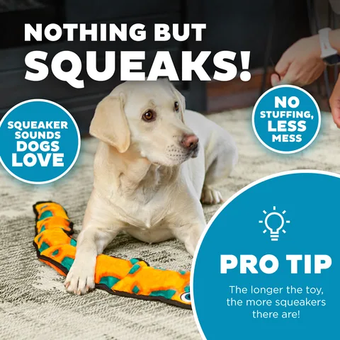 Outward Hound Durablez 蛇型耐咬玩偶（橘／XL） 4