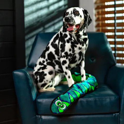 Outward Hound Durablez 蛇型耐久絨毛玩具（藍／XL） 5