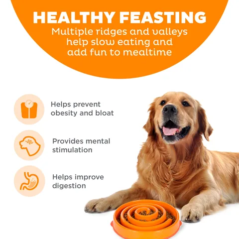 Outward Hound Fun Feeder Swirl 慢食碗（橘／L） 2