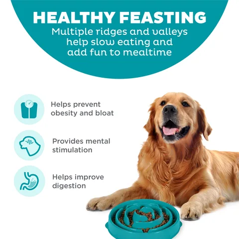 Outward Hound Fun Feeder Drop 慢食碗（松石綠／L） 2