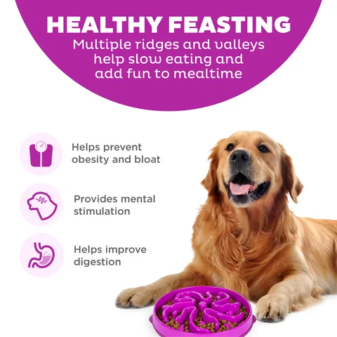 Outward Hound Fun Feeder Flower 慢食碗（紫／L） 2
