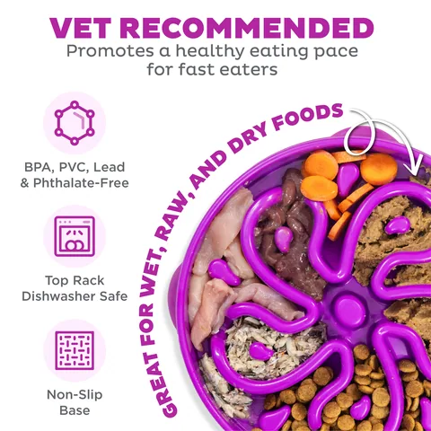 Outward Hound Fun Feeder Flower 慢食碗（紫／L） 3