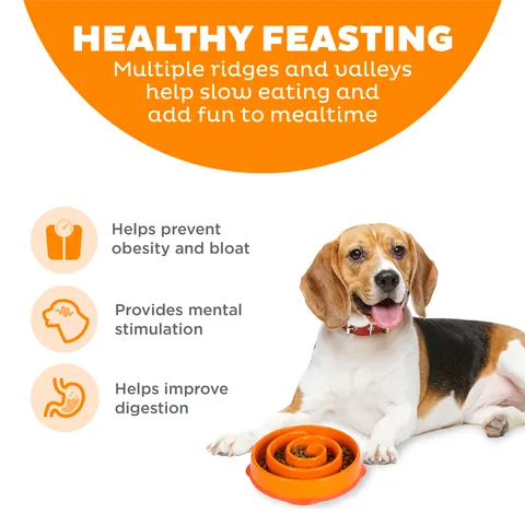 Outward Hound Fun Feeder Swirl 慢食碗（橘／M） 2