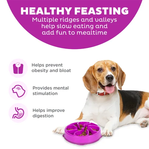 Outward Hound Fun Feeder Flower 慢食碗（紫／M） 2