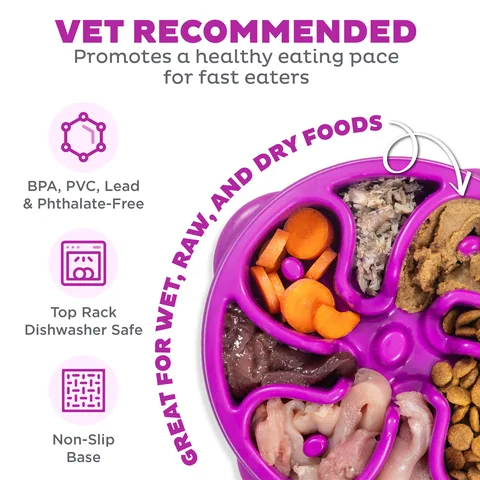 Outward Hound Fun Feeder Flower 慢食碗（紫／M） 3