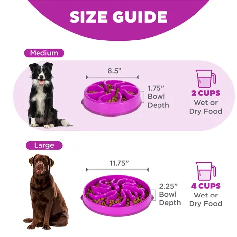 Outward Hound Fun Feeder Flower 慢食碗（紫／M） 5