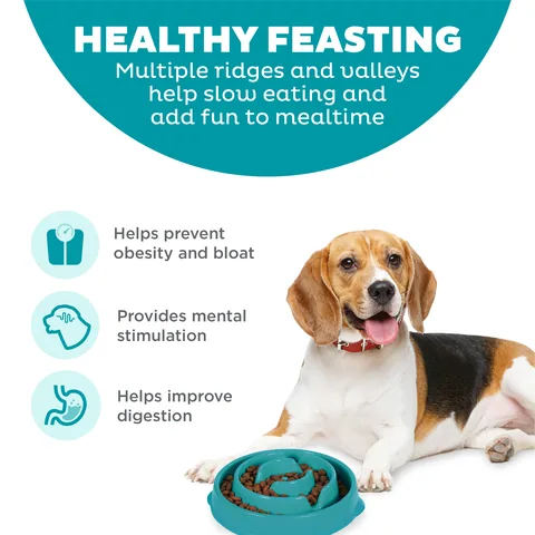 Outward Hound Fun Feeder Drop 慢食碗（松石綠／M） 2