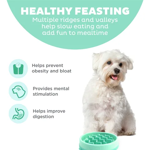 Outward Hound Fun Feeder Wave 慢食碗（薄荷綠／S） 2