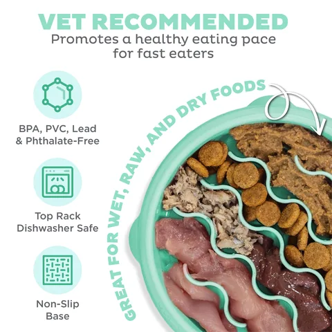 Outward Hound Fun Feeder Wave 慢食碗（薄荷綠／S） 3