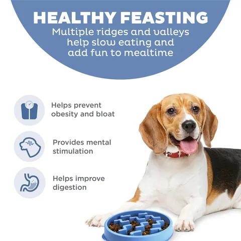 Outward Hound Fun Feeder Notch 慢食碗（藍／M） 2