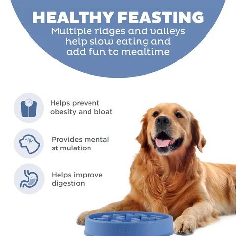 Outward Hound Fun Feeder Notch 慢食碗（藍／L） 2