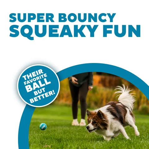 Outward Hound Squeaker Ballz 發聲網球 4入（多色／S） 2