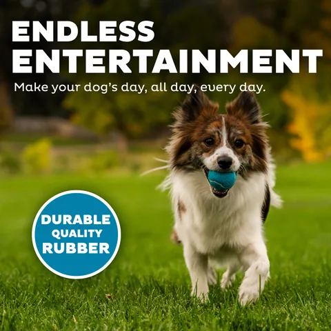 Outward Hound Squeaker Ballz 發聲網球 4入（多色／S） 4
