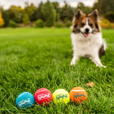 Outward Hound Squeaker Ballz 發聲網球 4入（多色／S） 5
