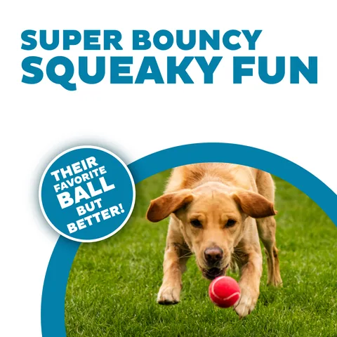 Outward Hound Squeaker Ballz 發聲網球 4入（多色／M） 2