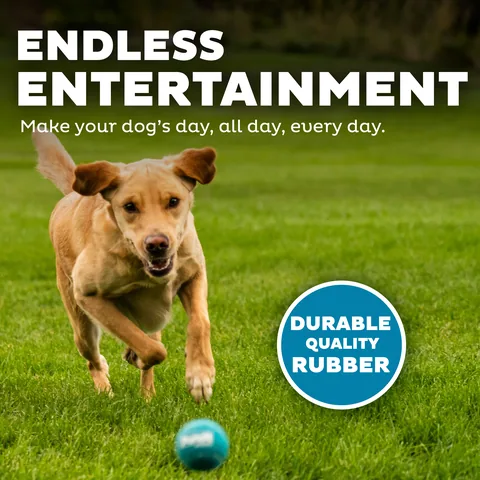Outward Hound Squeaker Ballz 發聲網球 4入（多色／M） 4