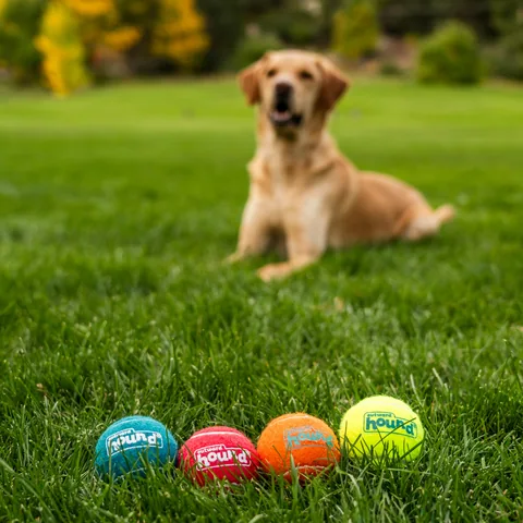 Outward Hound Squeaker Ballz 發聲網球 4入（多色／M） 5