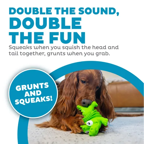 Outward Hound Accordionz 鱷魚造型手風琴玩具（綠／L） 2