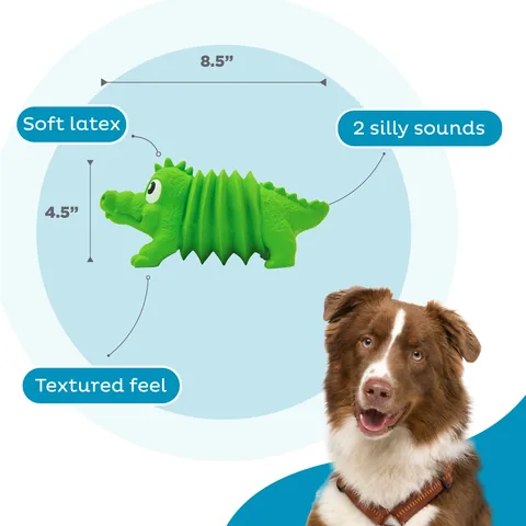 Outward Hound Accordionz 鱷魚造型手風琴玩具（綠／L） 3