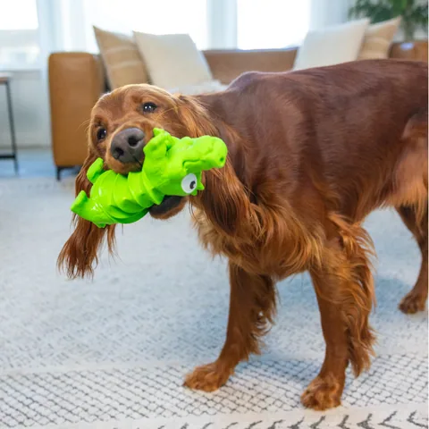 Outward Hound Accordionz 鱷魚造型手風琴玩具（綠／L） 5