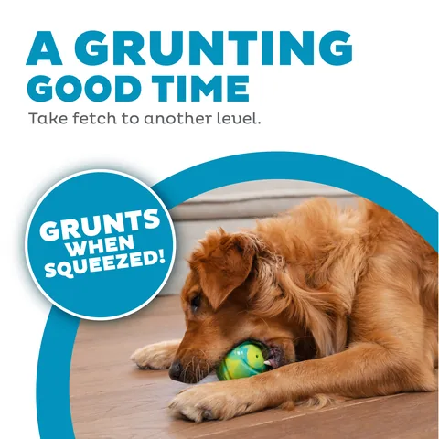 Outward Hound Grunt N' Punt 網球玩具（多色） 2