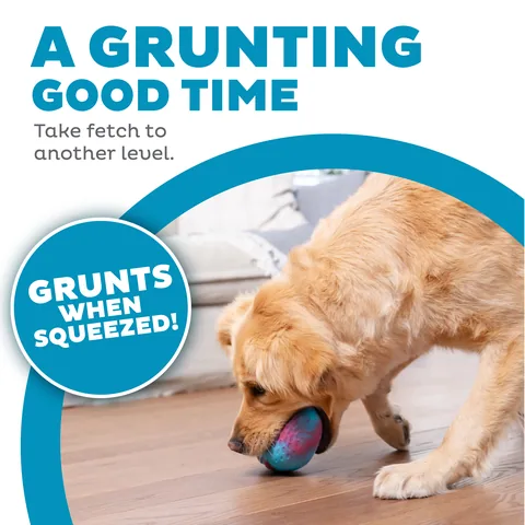 Outward Hound Grunt N' Punt 美式足球玩具（多色） 2