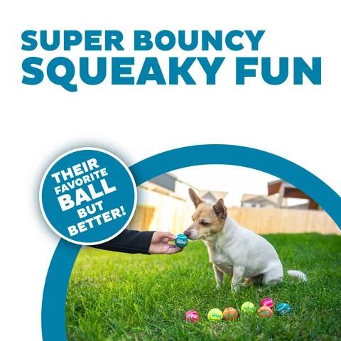 Outward Hound Squeaker Ballz 發聲網球 8入（多色／XS） 2