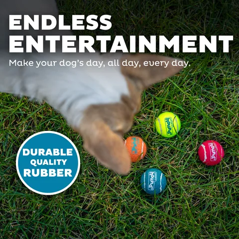 Outward Hound Squeaker Ballz 發聲網球 8入（多色／XS） 4