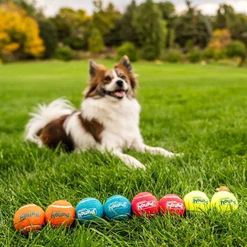Outward Hound Squeaker Ballz 發聲網球 8入（多色／S） 5