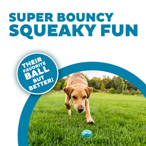 Outward Hound Squeaker Ballz 發聲網球 6入（多色／M） 2