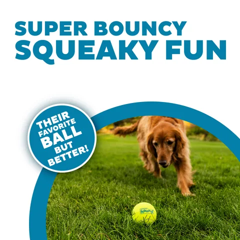 Outward Hound Squeaker Ballz 發聲網球 4入（多色／L） 2