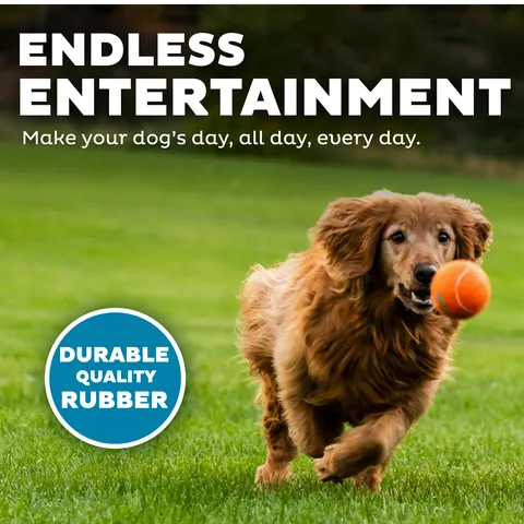 Outward Hound Squeaker Ballz 發聲網球 4入（多色／L） 4