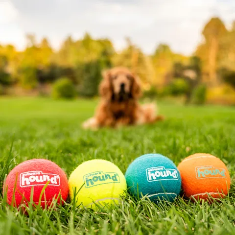 Outward Hound Squeaker Ballz 發聲網球 4入（多色／L） 5