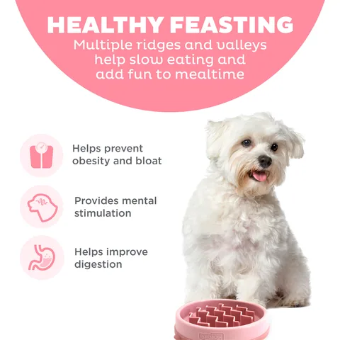 Outward Hound Fun Feeder Wave 慢食碗（粉／S） 2