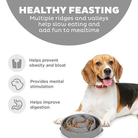 Outward Hound Fun Feeder Drop 慢食碗（灰／M） 2