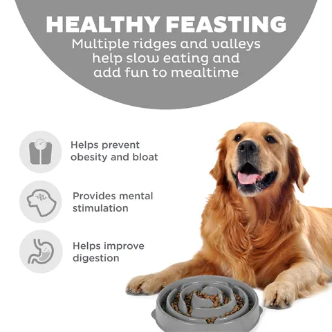 Outward Hound Fun Feeder Drop 慢食碗（灰／L） 2