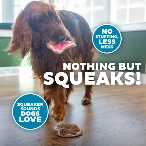Outward Hound Durablez 甜甜圈造型耐玩絨毛玩具 2 入組（多色／XS） 4