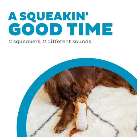 Outward Hound Stuffing-Free Big Squeak 狐狸造型不含棉玩偶（橘／M） 2