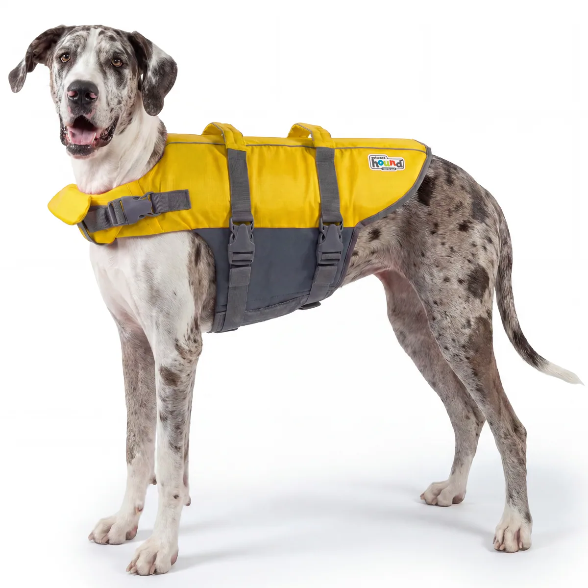 Outward Hound Granby Splash 犬用救生衣（黃／XL）