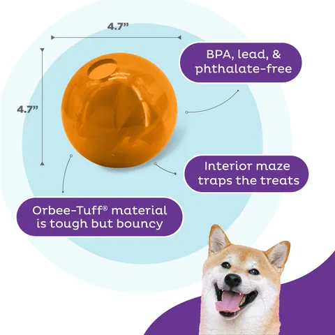 Outward Hound 互動益智球-橘 3
