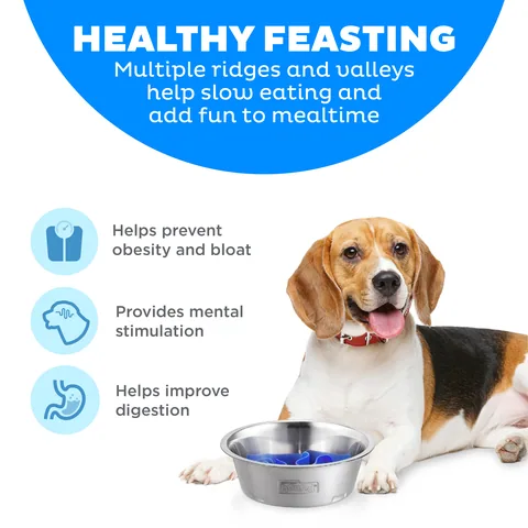 Outward Hound Fun Feeder 不鏽鋼慢食碗（M） 2