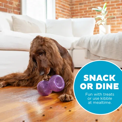 Outward Hound Double Snoop 漏食玩具（紫） 5