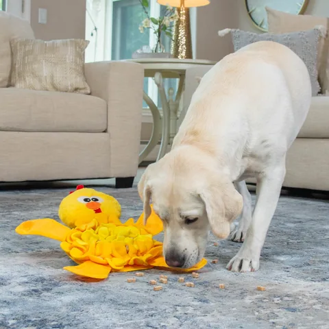 Outward Hound Snuffle Palz Chicken Dog Toy – Yellow, Large 5