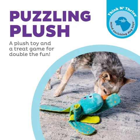 Outward Hound Silly Legz 章魚造型抽拉益智玩具（藍） 2