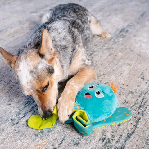Outward Hound Silly Legz 章魚造型抽拉益智玩具（藍） 5