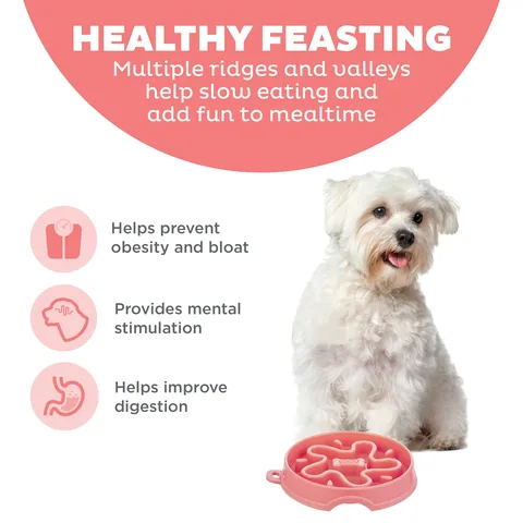 Outward Hound Fun Feeder 星形慢食碗（紅／S） 2