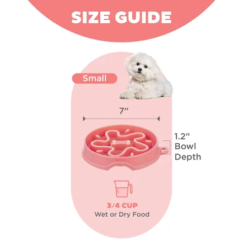 Outward Hound Fun Feeder 星形慢食碗（紅／S） 5