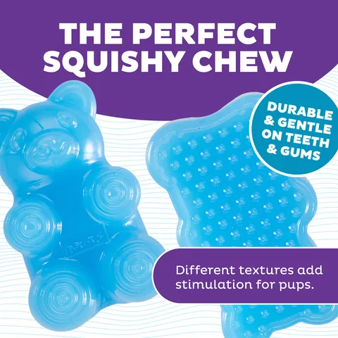 Outward Hound Gummiez Bear 熊造型耐咬潔牙玩具（藍） 3