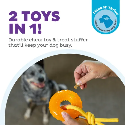 Outward Hound Gummiez Peach Ring – Orange 2